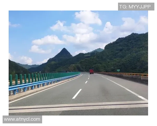 赛后分析：西安羽毛球队与武汉羽毛球队的战术意识与表现对比